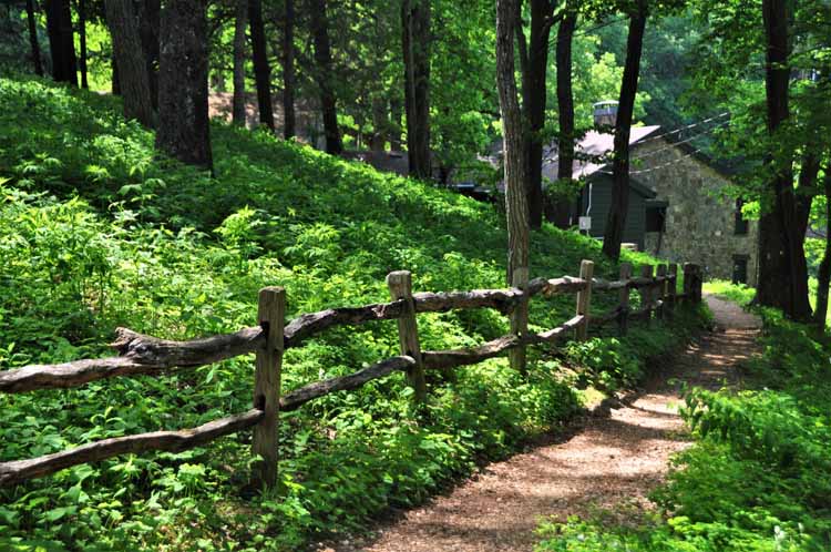 Appalachian Trail, shoe tree